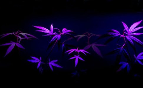 top-cover.jpg top-cover.jpg