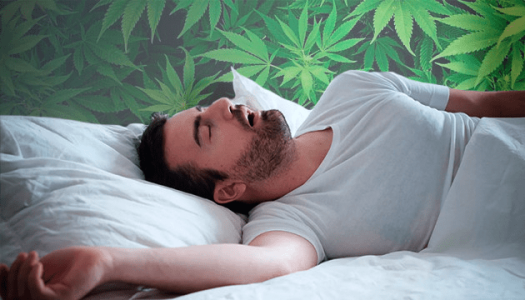 1619436220275.png 1619436220275.png