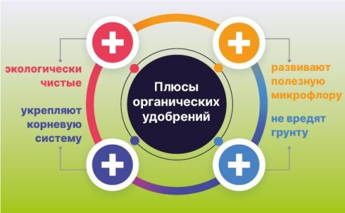 Органические удобрения для автоцветов Органические удобрения для автоцветов