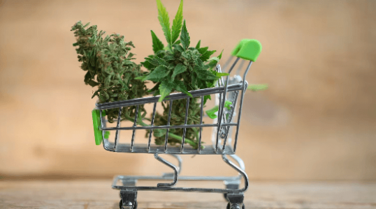 1666280158275.png 1666280158275.png