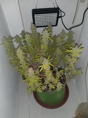 20221107_111036.jpg
