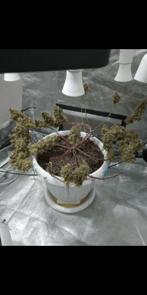 Screenshot_20221109-102351.png Screenshot_20221109-102351.png