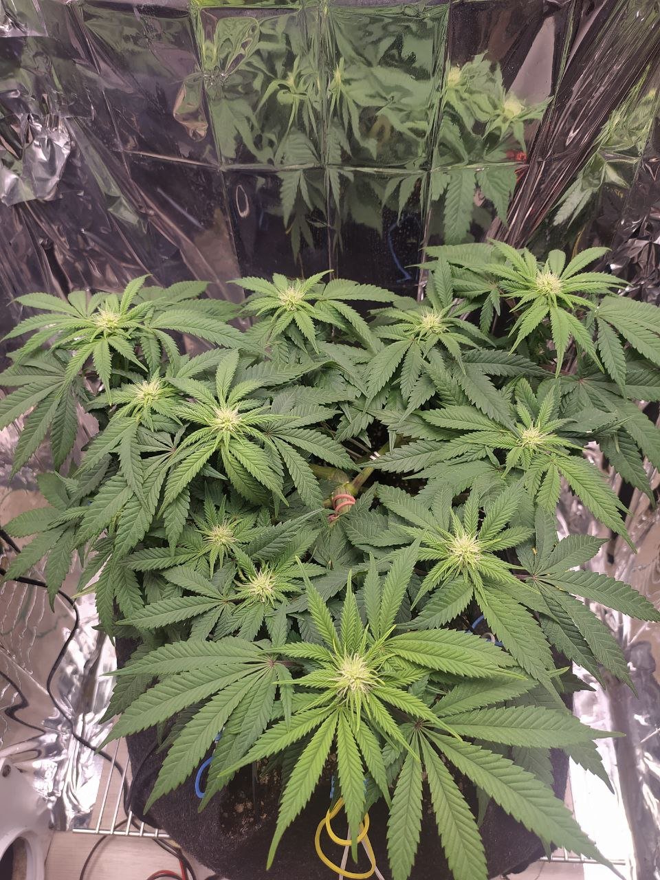 22 — копия.jpg 22 — копия.jpg