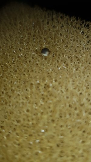 20221221_114333.jpg