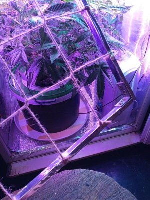 2.jpg 2.jpg