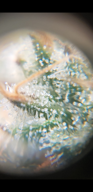 S30311-103700.png