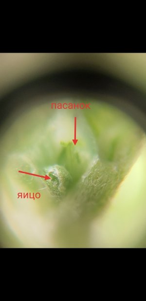 S30406-104902(1)(1)(1)(1).jpg
