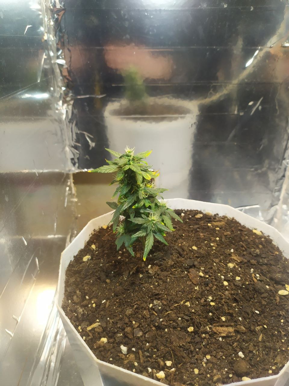 photo_2023-04-06_15-14-17 (2).jpg