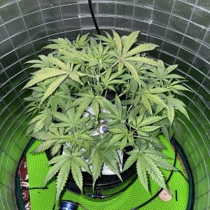 IMG_0789.jpg