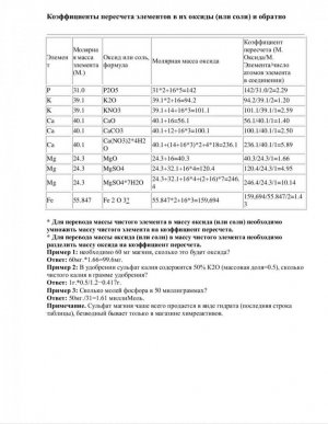 IMG_7963.jpeg