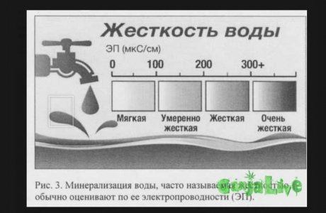 e23be019-23c2-4ae2-a728-5fb88c18a966.jpeg