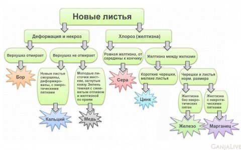 77d391ff-7705-4020-9d99-1a1c9fe9eb97.jpeg