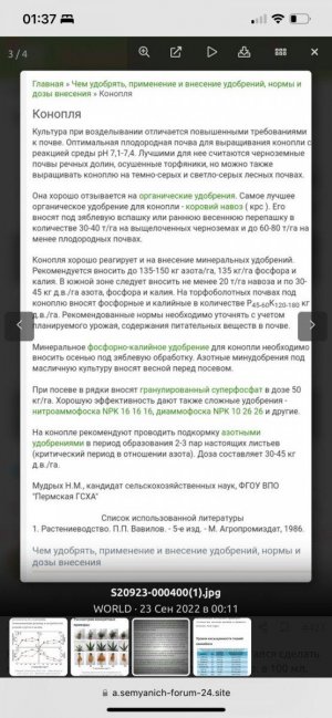 6f302ce3-0e61-42ec-8151-067f50046910.jpeg