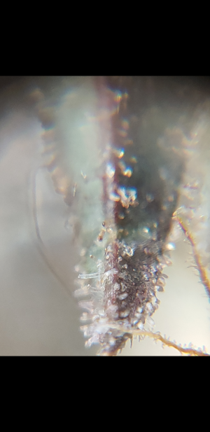 S30701-021103.png