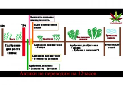 Screenshot_2023-07-01-10-45-15-74.jpg