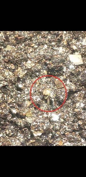 S30725-120404(1).jpg