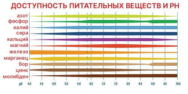 Cannabis-Nutrient-Availability_Ph-nutrients-01.jpg