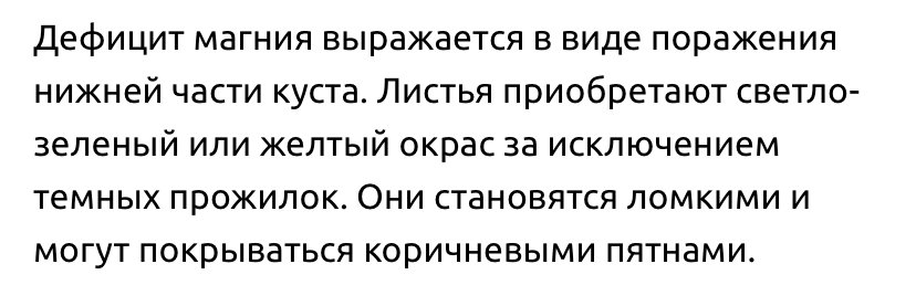 IMG_4746.jpeg