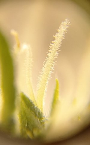 20230806_152921.jpg