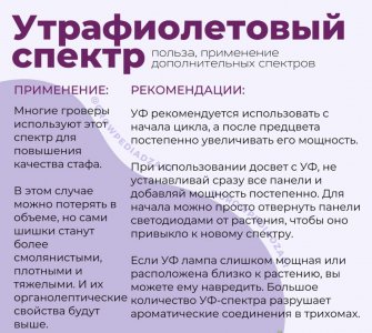 14E0C221-E89C-409A-90F8-80B9686310B9.jpeg