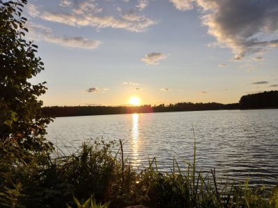IMG_20230830_191043.jpg