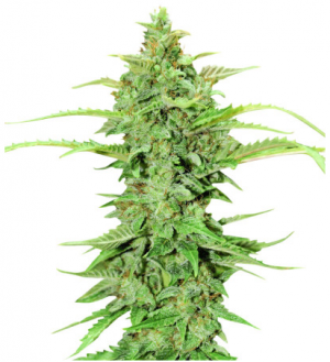 1696360209691.png 1696360209691.png