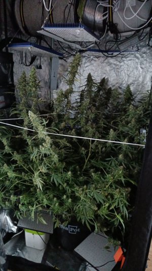 2023-10-12 12.31.27.jpg