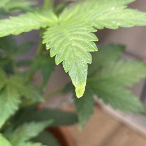 IMG_20220112_173309_614.jpg