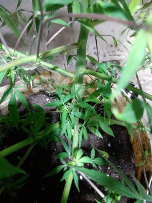 20220130_230939.jpg