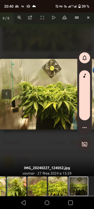 Screenshot_20240229-204020.png