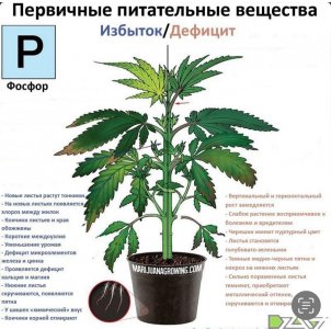 IMG_3569.jpeg