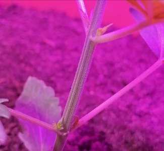 upload_2022_02_21_21_19_41_853.jpg