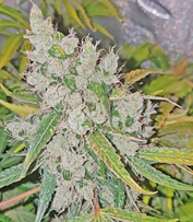 1645961648929.png 1645961648929.png