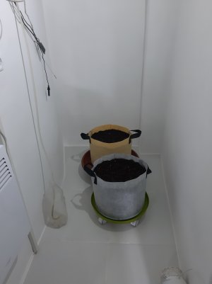 20220228_132057.jpg