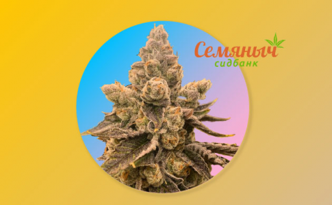 1646326987292.png 1646326987292.png