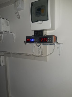 20220315_093317.jpg