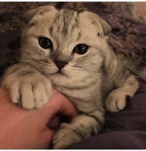 IMG_3005.jpeg