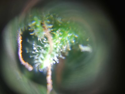 IMG_20240808_183318.jpg