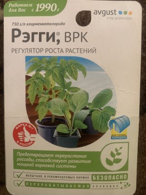 IMG_3095.jpeg
