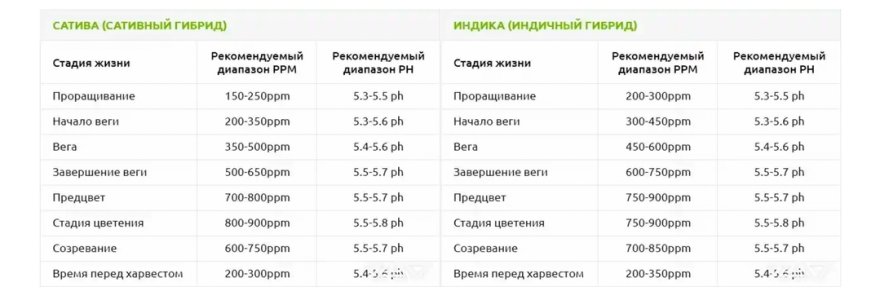 Screenshot_20240526_180022_Tor Browser.jpg