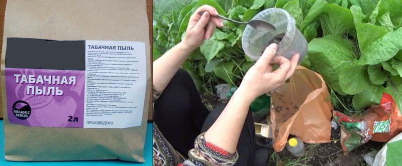 внесение подкормки